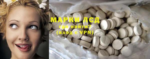 ПСИЛОЦИБИНОВЫЕ ГРИБЫ Горно-Алтайск
