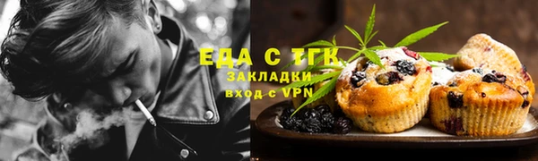 ПСИЛОЦИБИНОВЫЕ ГРИБЫ Горно-Алтайск