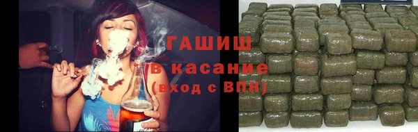 ПСИЛОЦИБИНОВЫЕ ГРИБЫ Горно-Алтайск
