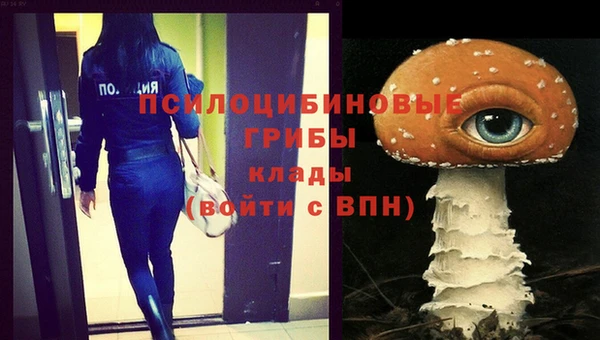 твердый Горнозаводск