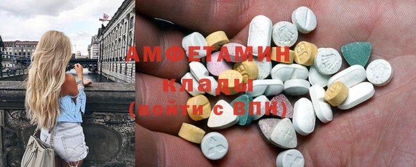 ПСИЛОЦИБИНОВЫЕ ГРИБЫ Горно-Алтайск
