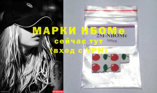 ПСИЛОЦИБИНОВЫЕ ГРИБЫ Горно-Алтайск