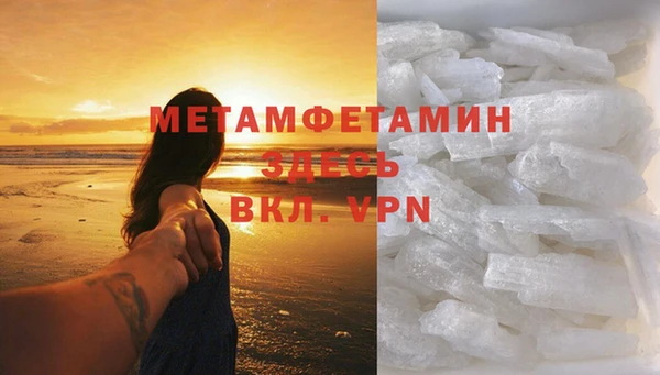 ПСИЛОЦИБИНОВЫЕ ГРИБЫ Горно-Алтайск