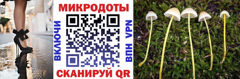 Галлюциногенные грибы Psilocybine cubensis Купить закладки Судак