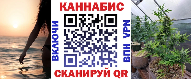 Купить  Судак  МАРИХУАНА THC 21% 